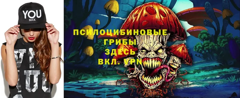 Галлюциногенные грибы MAGIC MUSHROOMS  Красный Холм 